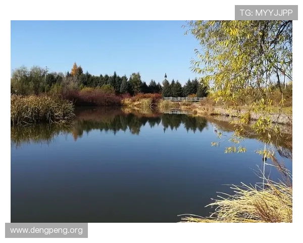 千亿像素看世界官网下载让你轻松获取高清地图和风景图片，满足你的视觉探索需求