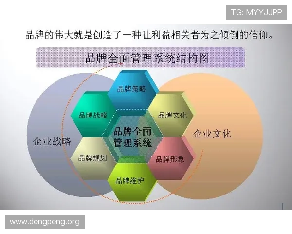 深入了解千亿体育国际品牌官网的品牌故事与企业文化增强用户信任感与品牌认同